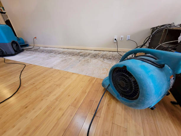 Professional Flood Damage Cleanup technician working in Bear Creek, NC